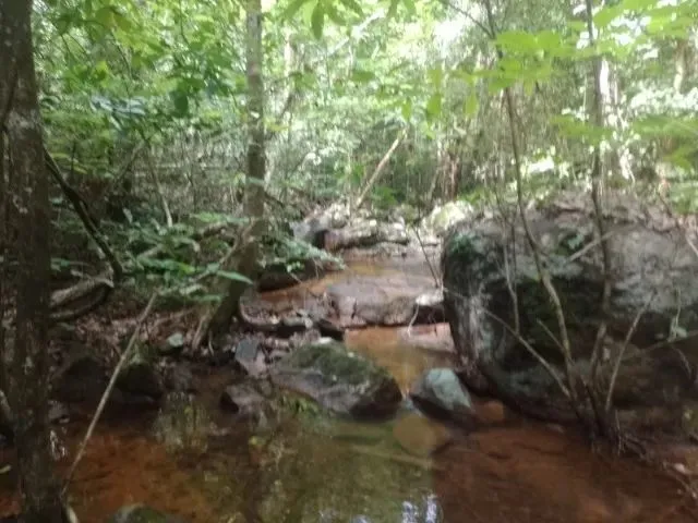 Imagem: Terra Rural com Cachoeira e Igarapé, Otima