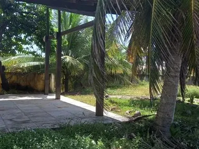 Imagem: Casa para Venda Tem 250 Metros Quadrados