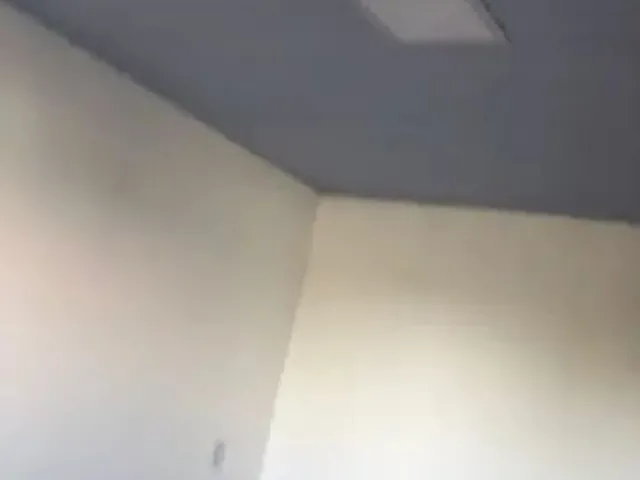 Imagem 2: Quitinete Fundos de Biguaçu