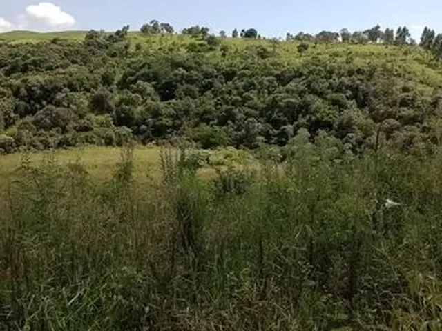 Imagem: Chácara em Nova Laranjeiras (9 Km da Cidade