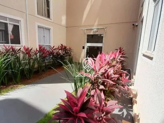 Imagem 11: Apartamento com 2 Dormitórios para Alugar, 44 M² - Coliseu - Londrina/Pr