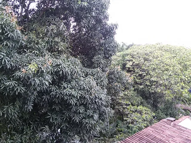 Imagem 8: APARTAMENTO RESIDENCIAL em VITÓRIA - ES, JARDIM CAMBURI