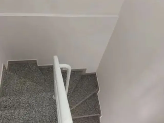 Imagem 7: Alugo Sobrado Sítio Cercado 3 Quartos R$ 2.000