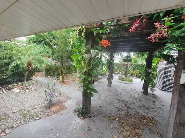 Imagem 15: Aluga-Se Casa no Bairro São Vicente