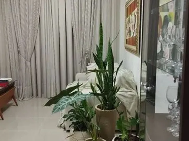 Imagem 2: Alugo Apartamento Mobiliado