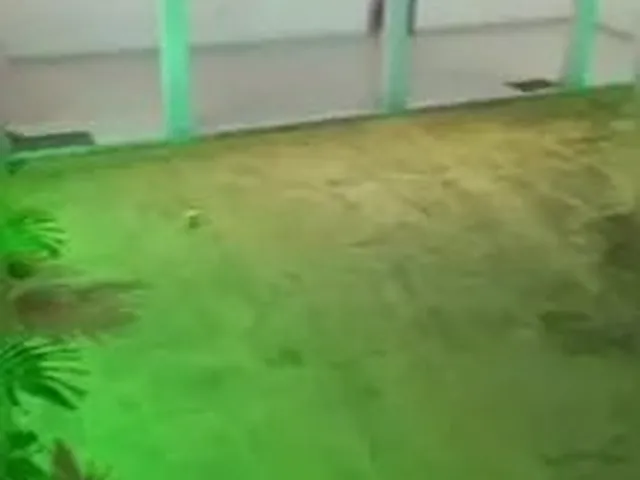 Imagem 3: Area de Lazer Sonho Meu Aluga-Se para Eventos Tel. *