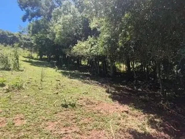 Imagem 4: Sítio Próximo da Cidade de Francisco Beltrão - Aceito Imóvel Como Parte do Pagamento