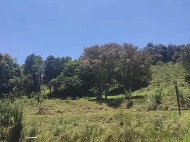 Imagem 2: Sítio Próximo da Cidade de Francisco Beltrão - Aceito Imóvel Como Parte do Pagamento