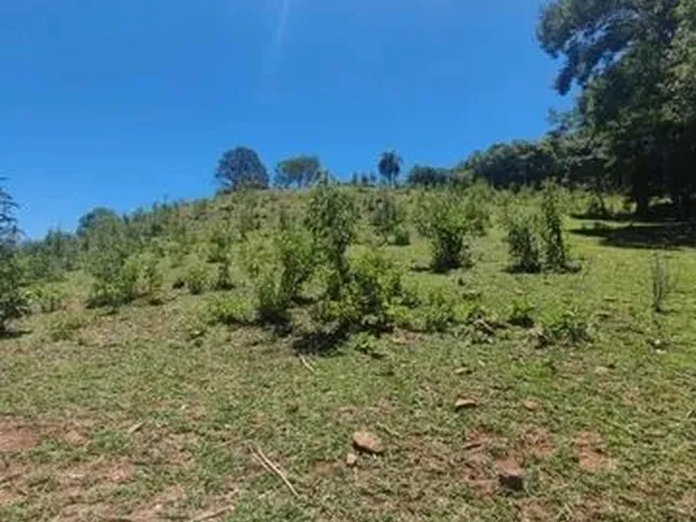 Imagem 3: Sítio Próximo da Cidade de Francisco Beltrão - Aceito Imóvel Como Parte do Pagamento