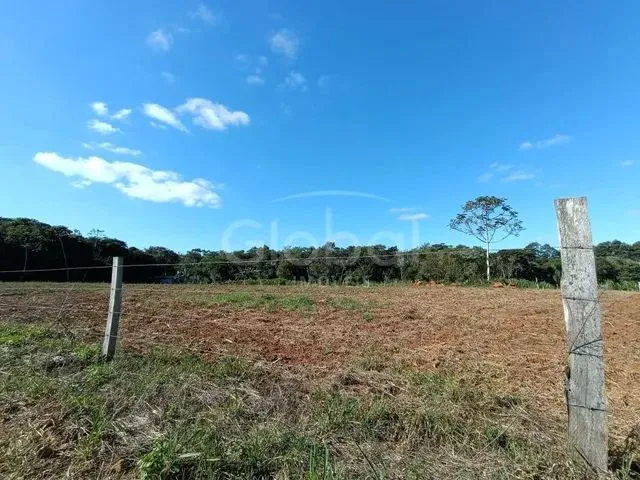 Imagem: Área de Terras Zona Rural Nova Hartz