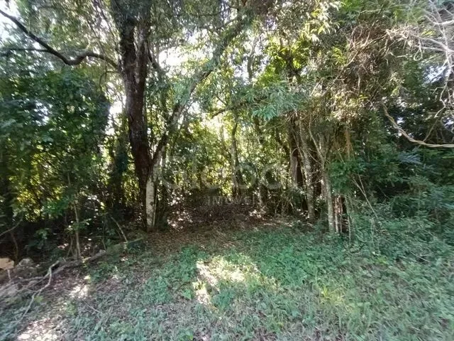 Imagem 3: Área de Terras Zona Rural Nova Hartz