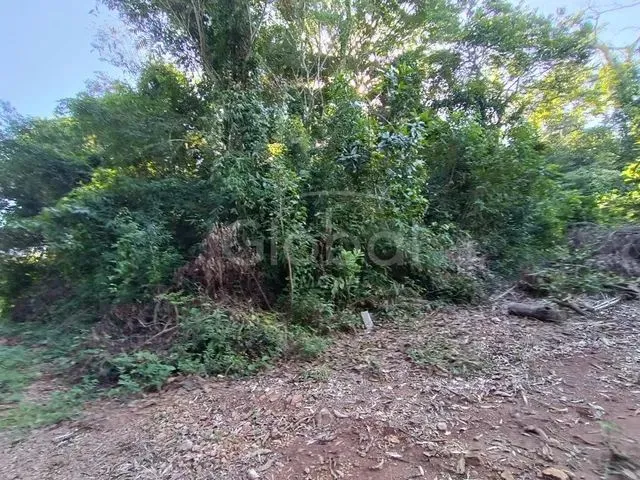 Imagem 4: Área de Terras Zona Rural Nova Hartz