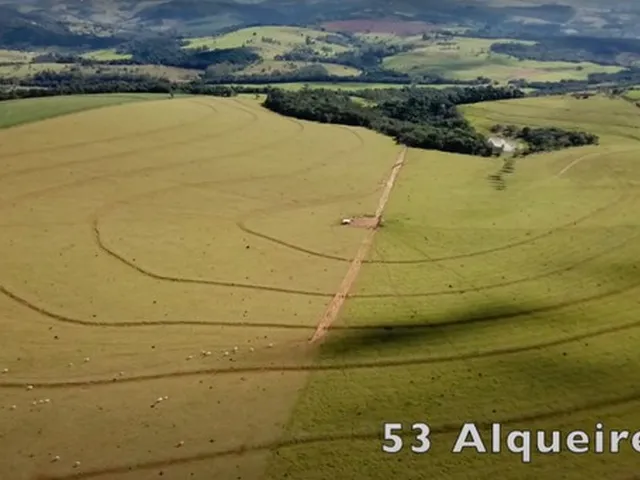 Imagem: Fazenda 53 Alqueires - Piraju-Sp