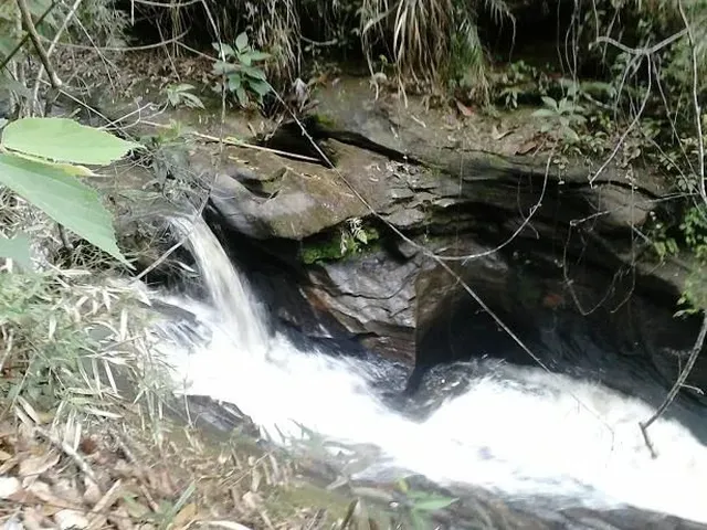 Imagem 2: Propriedade Rural com Cachoeira e Eucalipto