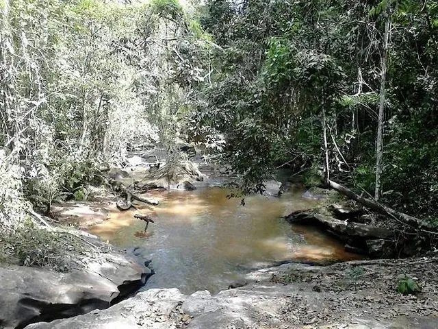 Imagem 3: Propriedade Rural com Cachoeira e Eucalipto