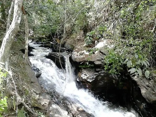 Imagem 4: Propriedade Rural com Cachoeira e Eucalipto