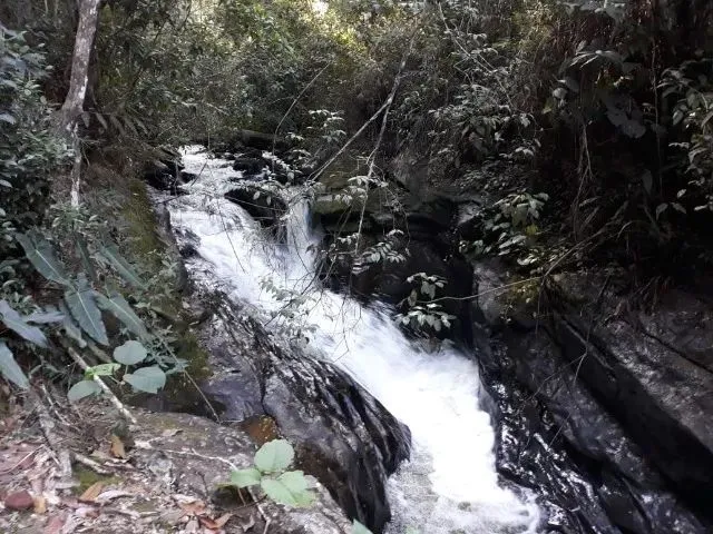 Imagem 6: Propriedade Rural com Cachoeira e Eucalipto