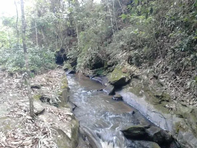 Imagem 7: Propriedade Rural com Cachoeira e Eucalipto