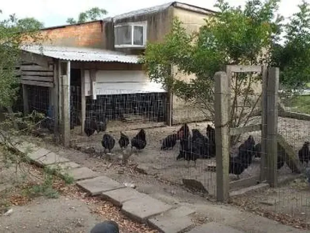 Imagem: Sítio em Lami
