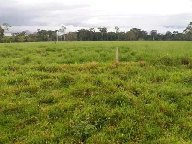 Imagem: Fazenda