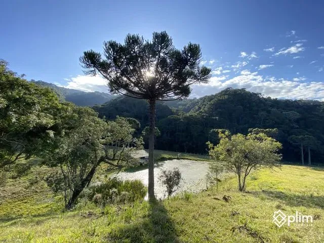 Imagem: Rancho na Serra Catarinense