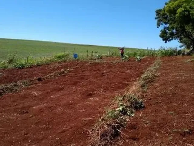 Imagem: Chácara Á Venda
