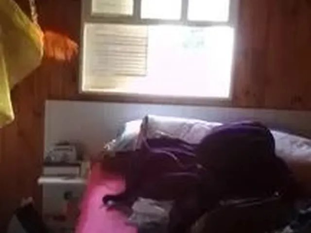 Imagem 3: Vende-Se Casa. Bairrro: Restinga