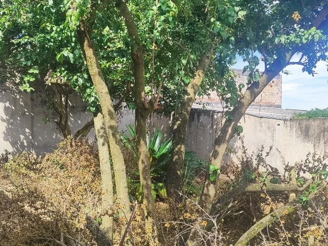 Imagem 13: TRIPLEX A VENDA NO BAIRRO ALTO COM TERRENO MEDINDO 10X50M² E 300M² DE ÁREA CONSTRUÍDA