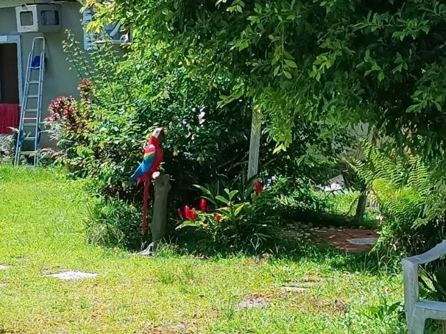 Imagem 3: Chalé em Mosqueiro Chapéu Virado