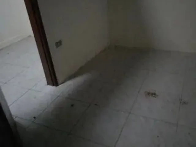 Imagem 7: Casa Popular Casa com 2 dormitórios