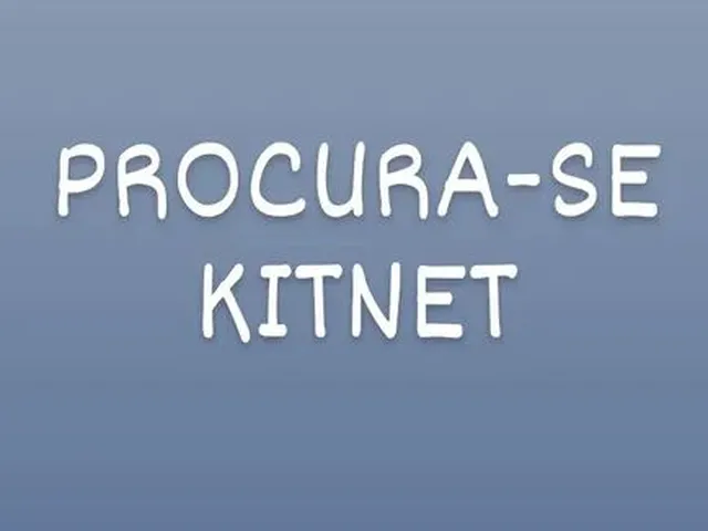 Imagem: Procura-Se Kitnet