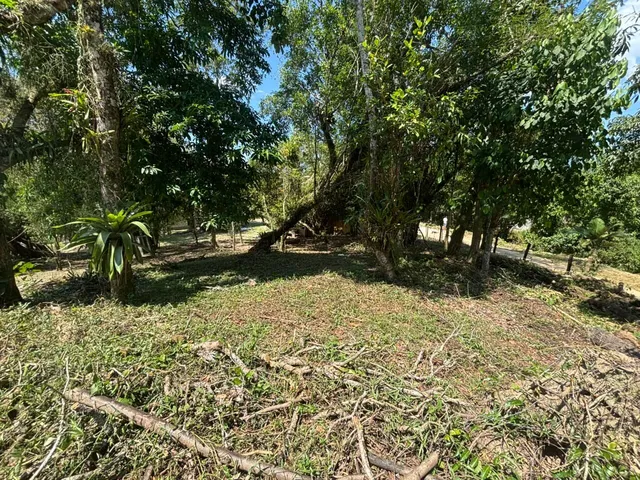 Imagem 12: Linda Chácara com Casa de Alvenaria em Santo Amaro da Imperatriz/SC!