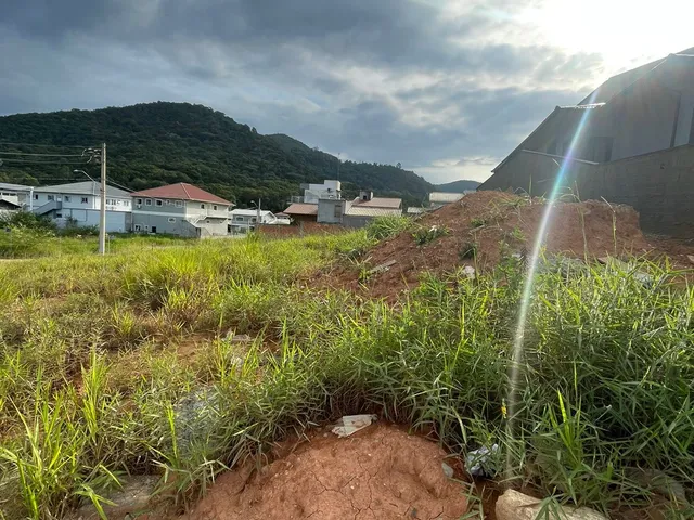 Imagem 6: Excelente Terreno com Escritura Pública - Alto Aririu em Palhoça/SC