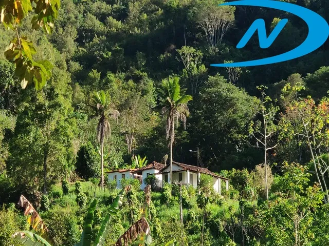Imagem: FAZENDA RURAL em JEQUIÉ - BA, FLORESTAL