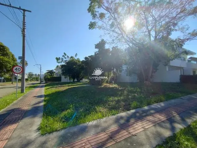 Imagem: Florianópolis - Terreno Padrão - Jurerê