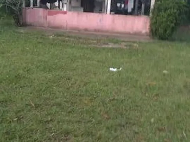 Imagem 1: Sítio em Manacapuru
