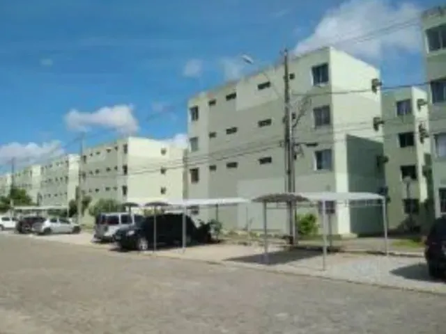 Imagem 4: Bosque das Casuarinas ( Repasso Financiamento