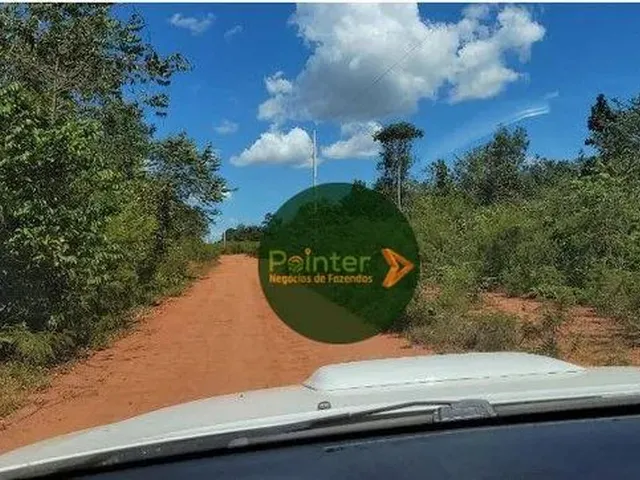 Imagem: Fazenda À Venda, 1.248 Hectares por R