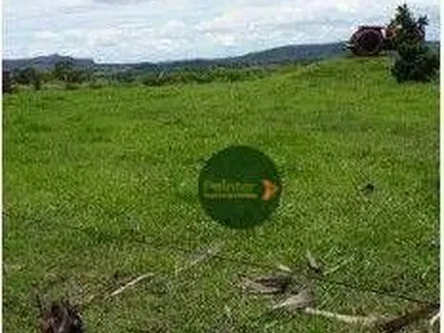 Imagem: Fazenda À Venda, 1.011 Hectares por R$