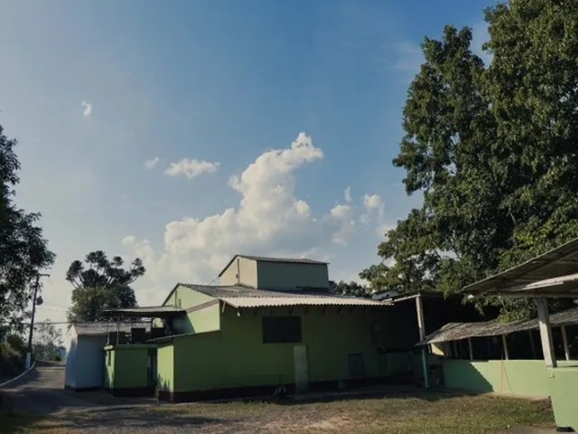Imagem: Abatedouro - Frigorifico de Suínos