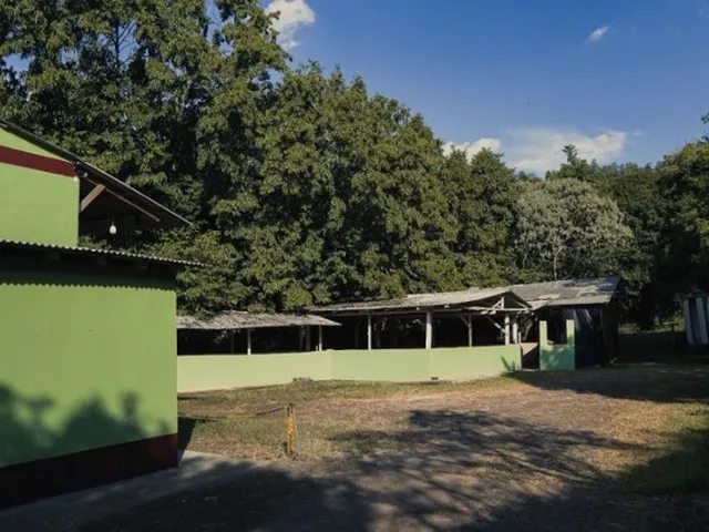 Imagem 15: Abatedouro - Frigorifico de Suínos
