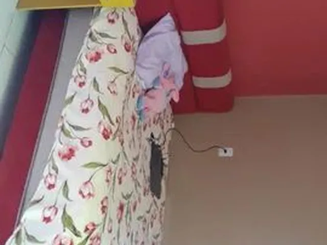 Imagem 2: Alugar Casa em Salinópolis por Temporada
