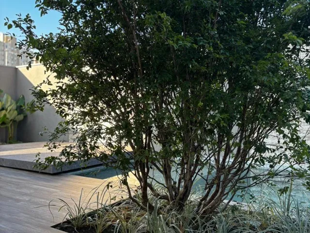 Imagem 5: Luxuosa casa em condomínio à venda em Ribeirão Preto-SP, Quinta da Primavera: 4