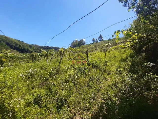 Imagem 9: Área de Terra Próximo a Nova Milano