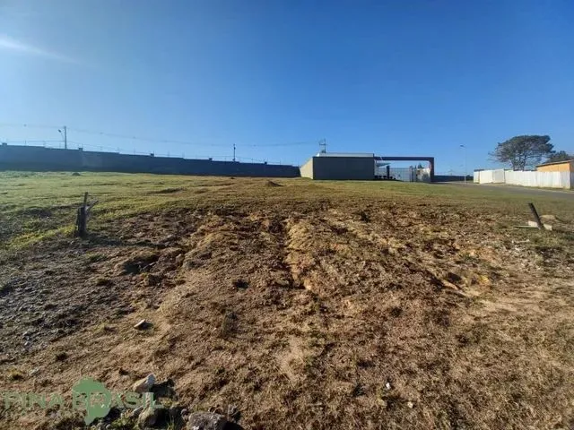 Imagem: Terreno para Venda em Colombo, Campo Pequeno