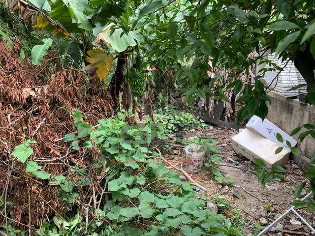 Imagem 5: Chácara a venda na cidade de Itapema/SC no bairro Ilhota, com 800 m², Casa com 2