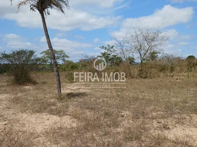 Imagem: 