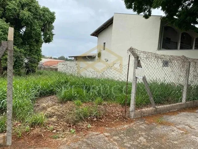 Imagem: Terreno - Nova Campinas - Campinas