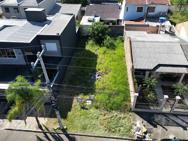 Imagem 4: IDAÂF 1804 Lote 610241034-72