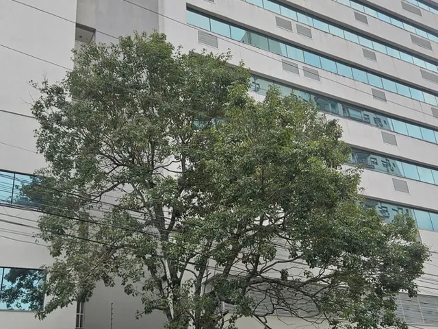 Imagem 6: Edifício Neo Superquadra Sala 808 - Edifício Neo Superquadra Sala 808